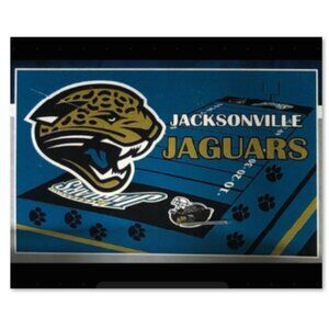 NEW  Jacksonville Jaguars 3x5 NFL Flag Officially Licensed